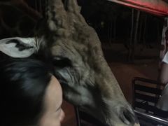 -清迈夜间动物园