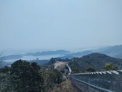 -黄贤森林公园