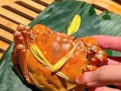 -成隆行·蟹王府(淮海店)