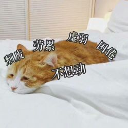 -心联护肤造型