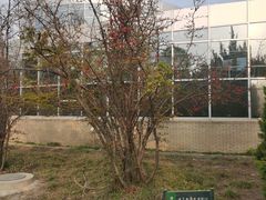 -石家庄市植物园