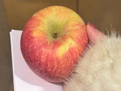 -上海锦江汤臣洲际大酒店