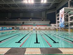 -奥体中心游泳馆