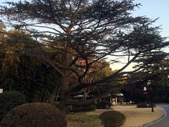 -西郊宾馆·1921餐厅