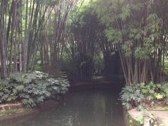 iphone_upload_pic-望江楼公园