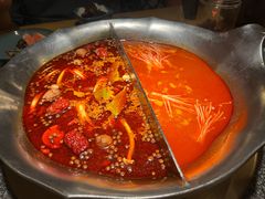 -湊湊火锅·茶憩(郑州绿地新都会店)