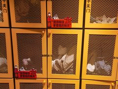 -超级猩猩健身·团课(国贸店)