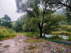 -下河湾农家乐