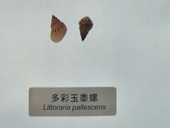 -中国湿地博物馆