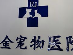 -睿金宠物医院·CT·肿瘤·骨外科