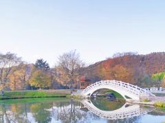 -茅兰沟国家森林公园