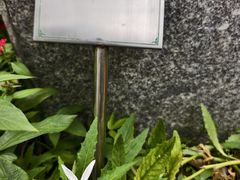 -广州神农草堂中医药博物馆
