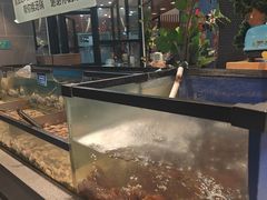 -遇上西雅图多融合海鲜自助餐厅(中房金谊广场店)