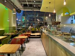 -油梨树AVOCADO TREE(望京店)