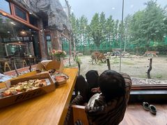-上海野生动物园老虎餐厅