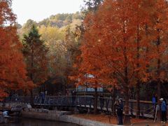 -白水寺森林公园