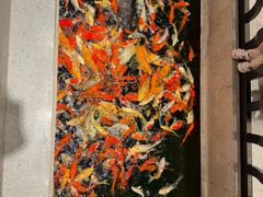 -龙悦湾酒家·八阵鱼生·渔人码头店