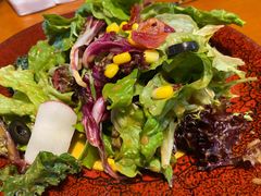 田园时蔬沙拉-布拉格餐厅· 中欧捷克菜(全国首店)