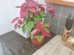 -牛水谣牛肉汤(杨舍老街店)