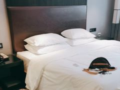 -乌鲁木齐百世昌龙泉酒店(大巴扎店)