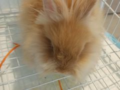 -怪兽屋·羊驼·猫咖·狗咖(俊华广场店)