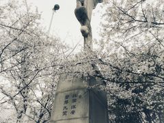 -武汉大学-樱园
