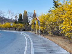 -棒棰岛宾馆景区