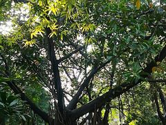 -黄埔古港