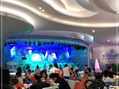 -帝企鹅自助餐厅•儿童岛•真企鹅(长隆企鹅酒店)