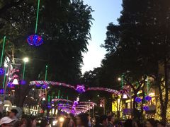 -爱雍·乌节