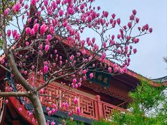 -堤角公园