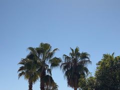 -千岛湖希尔顿休闲艇俱乐部