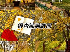 -郑和公园