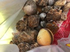 -万尾金滩