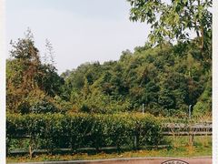 -火炉山森林公园