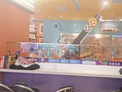 -乐多星球潮玩中心(沈阳嘉里城店)