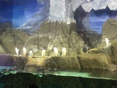 -成都浩海立方海洋公园