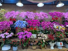 -双季花艺园艺市场(浦东店)