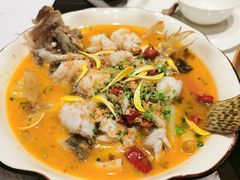 酸菜鳜鱼-京香轩·中餐厅(上海中庚聚龙酒店)