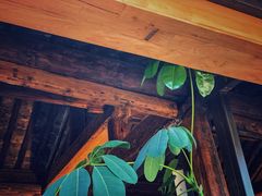 -VOYAGE COFFEE(北锣鼓巷店)