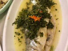 雪菜蒸大黄鱼-上海老饭店(北京分店)