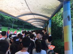 -东部华侨城