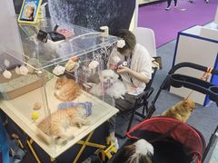 -东浩兰生上海世博展览馆