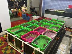 -众味海鲜大排档·活海鲜·潮汕味(南澳店)
