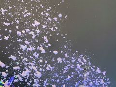 -第35届青岛国际啤酒节