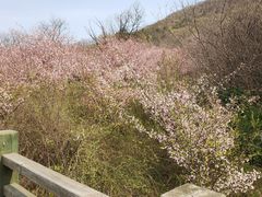 -南山风景名胜区