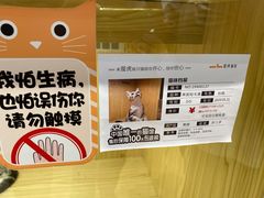 -屋虎猫馆(宝安大仟里店)