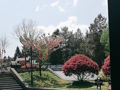 -梭布垭石林景区