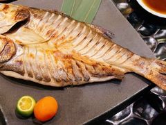 -松涛日本料理