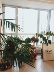 -彼歌婚礼工作室·星座专属定制